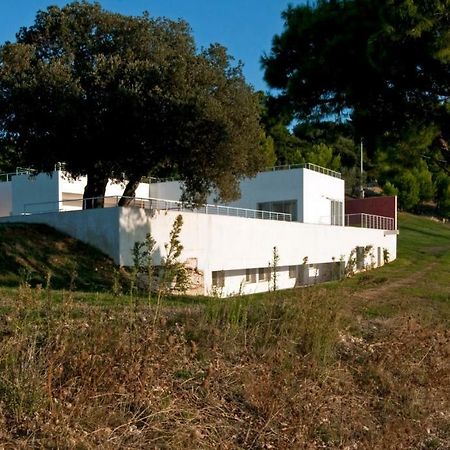 Villa Zagare Mattinata Exterior foto